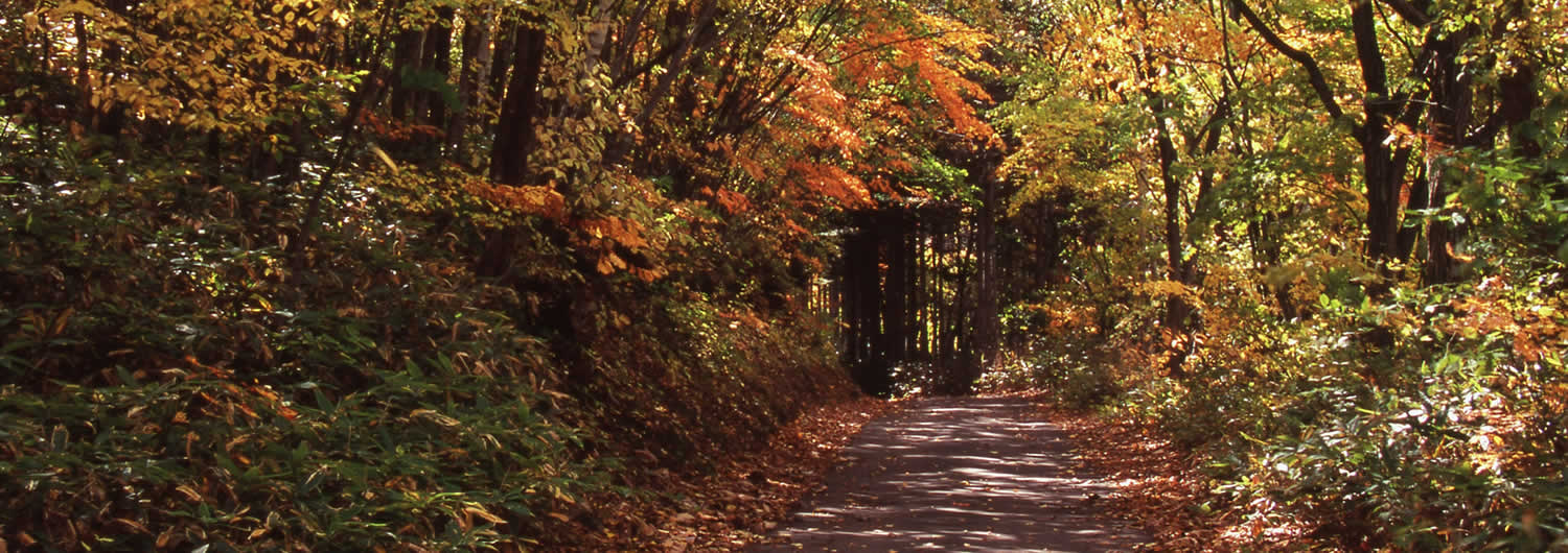 紅櫻公園