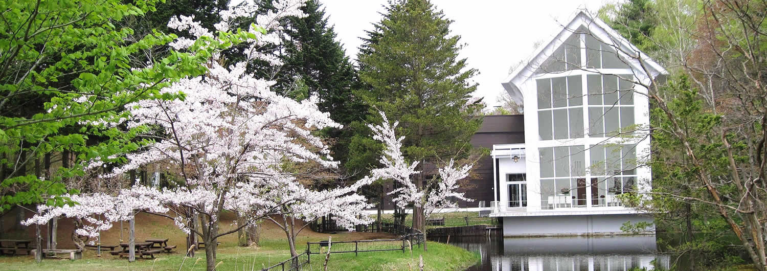 紅櫻公園