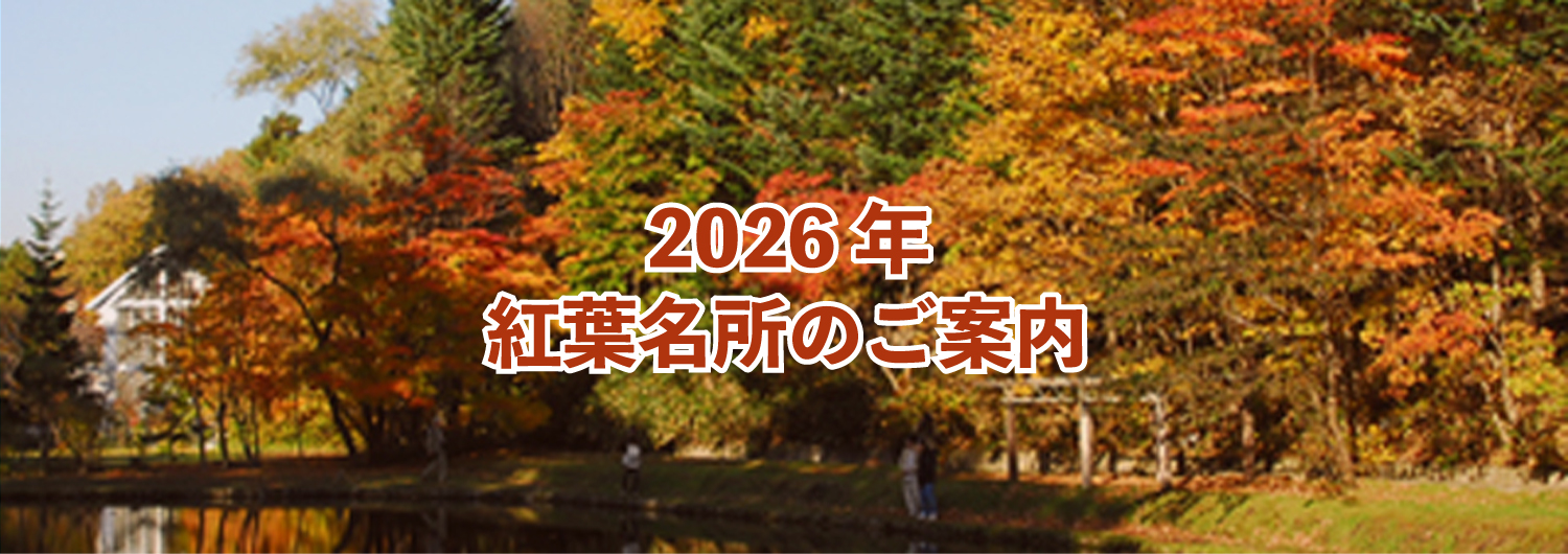 紅櫻公園,2026年,紅葉,hokkaidowalker+,札幌市,南区
