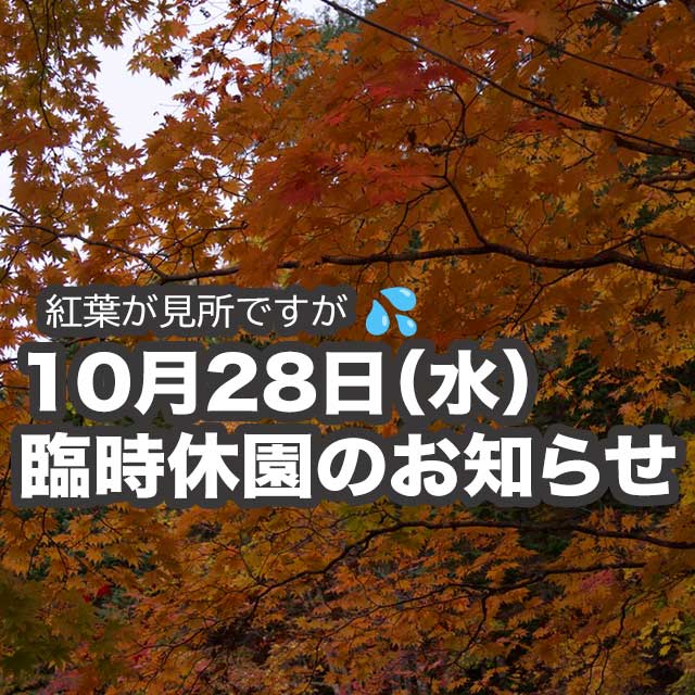 2026年10月28日(水曜日)の臨時休園のお知