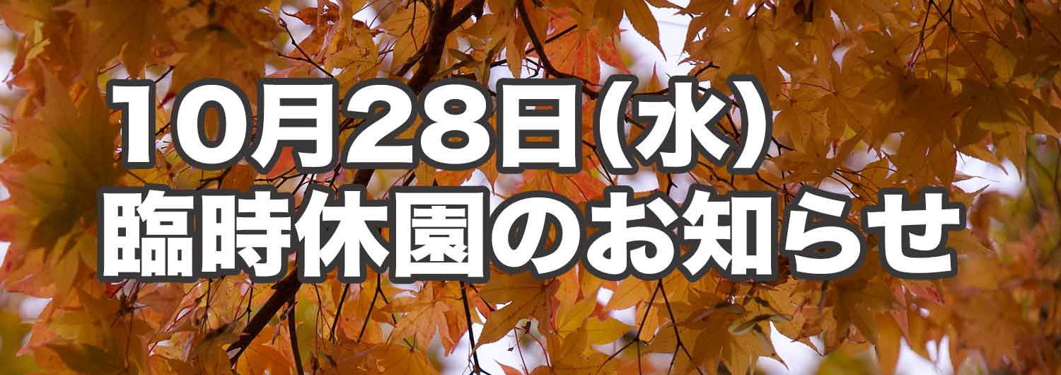 お休み