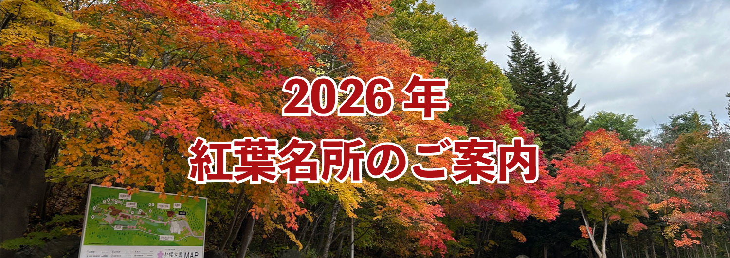 紅櫻公園,2026年,紅葉,hokkaidowalker+,札幌市,南区