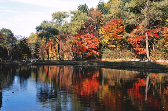 紅櫻公園